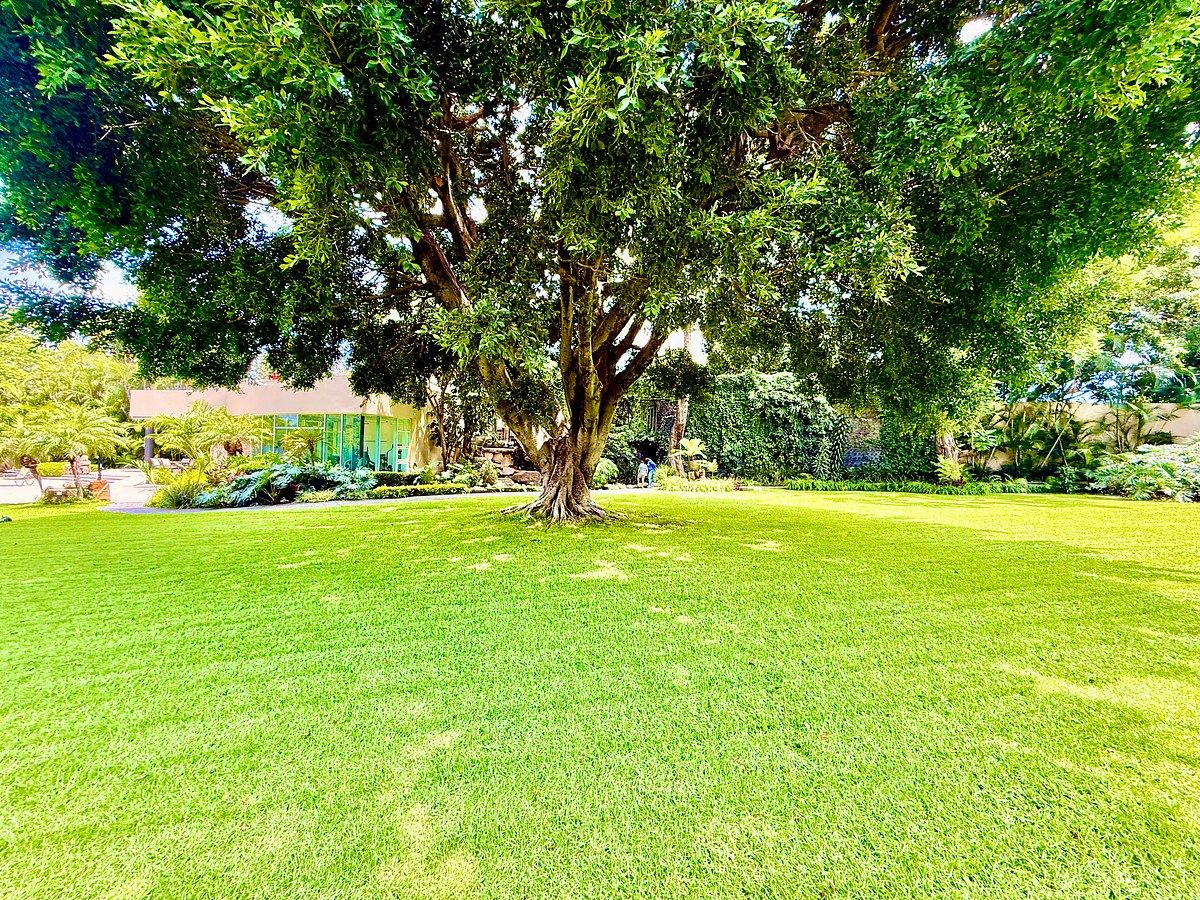 Casa em Palmira Tinguindin, Cuernavaca, foto 6 de 33