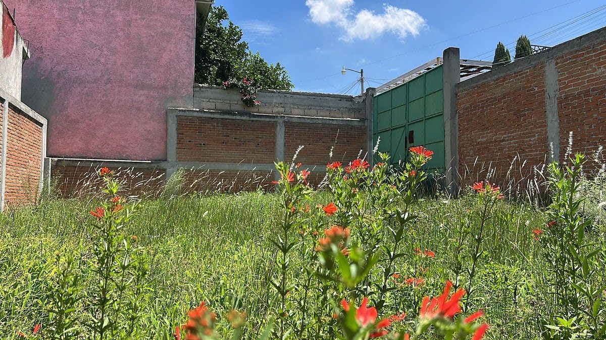 Terreno en Venta, Nicolas Romero, 155 m2, foto 1 de 6