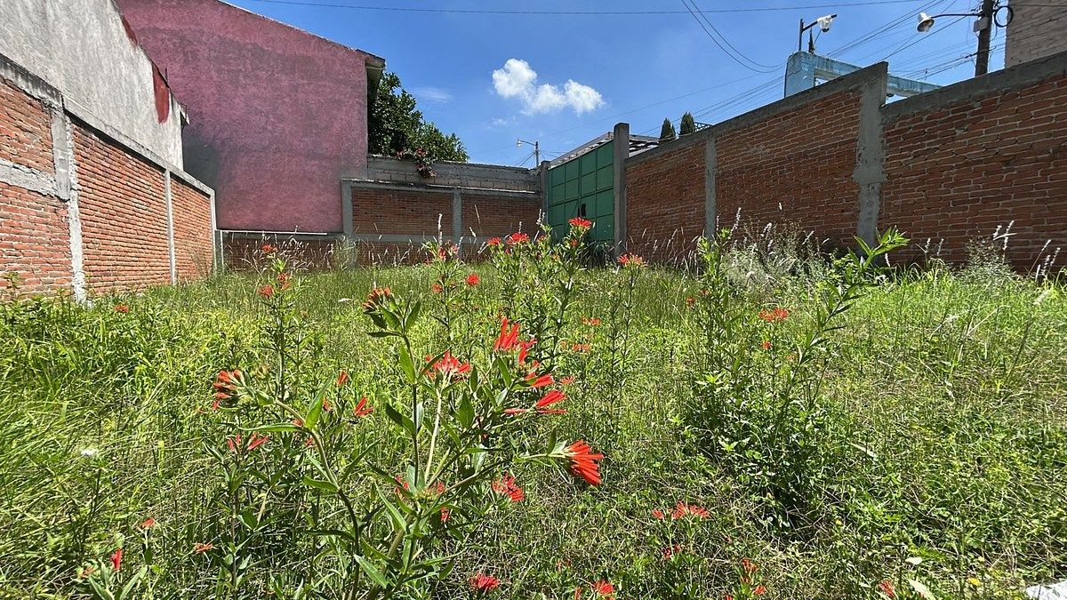 Lote em Santa Anita, Nicolás Romero, foto 2 de 6