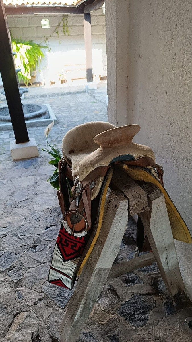 Fazenda em Colón Centro, Colón, foto 6 de 7