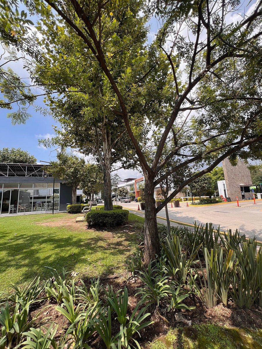 Casa en condominio en Solares, Zapopan, foto 23 de 28
