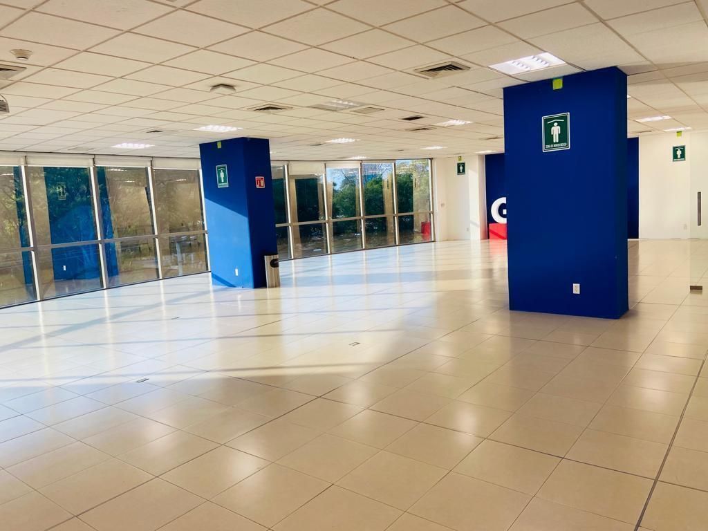 Sala Comercial em Granada, Miguel Hidalgo, foto 8 de 13
