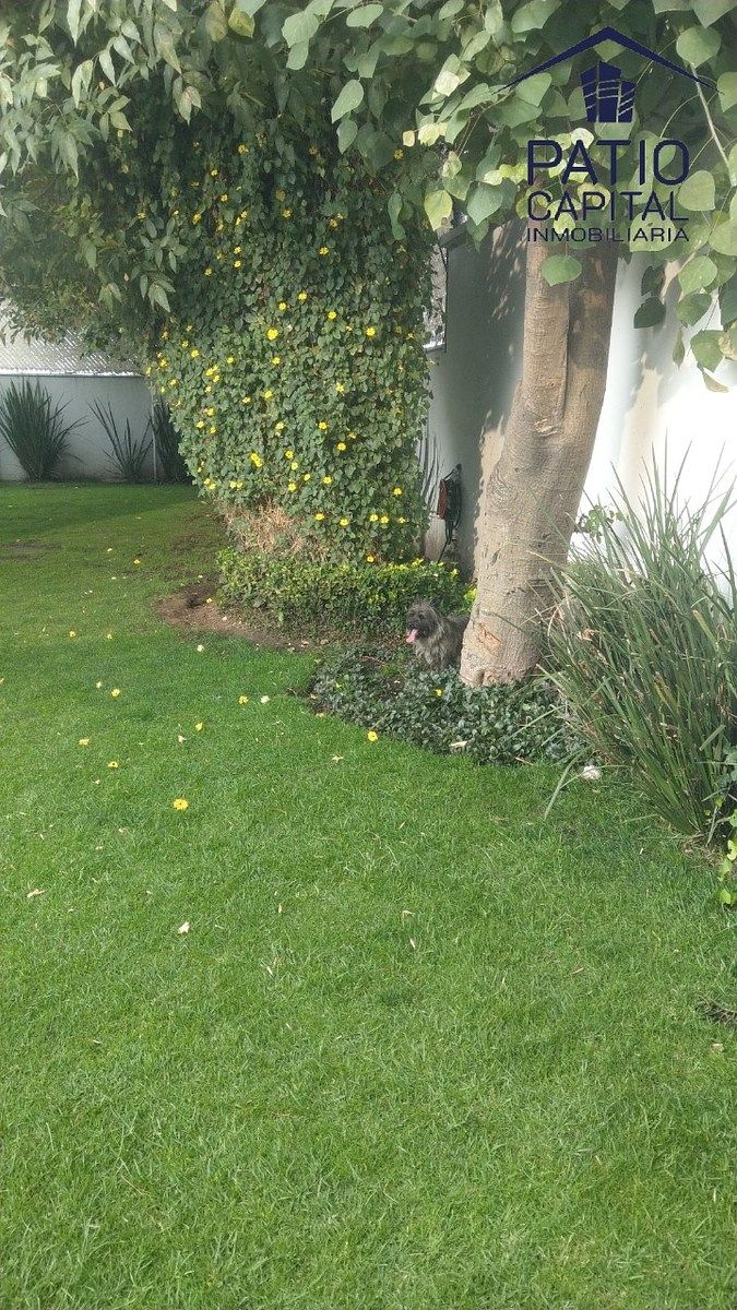 Casa em condomínio fechado em San Juan Totoltepec, Naucalpan de Juárez, foto 13 de 13