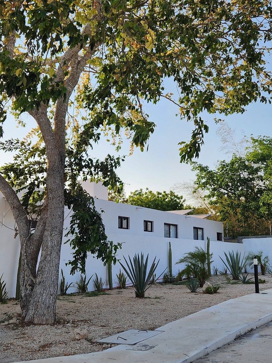 Lot in Tamanché, Mérida, photo 4 of 21