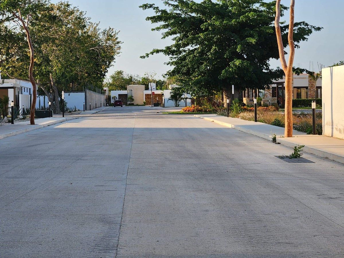 Lot in Tamanché, Mérida, photo 10 of 21