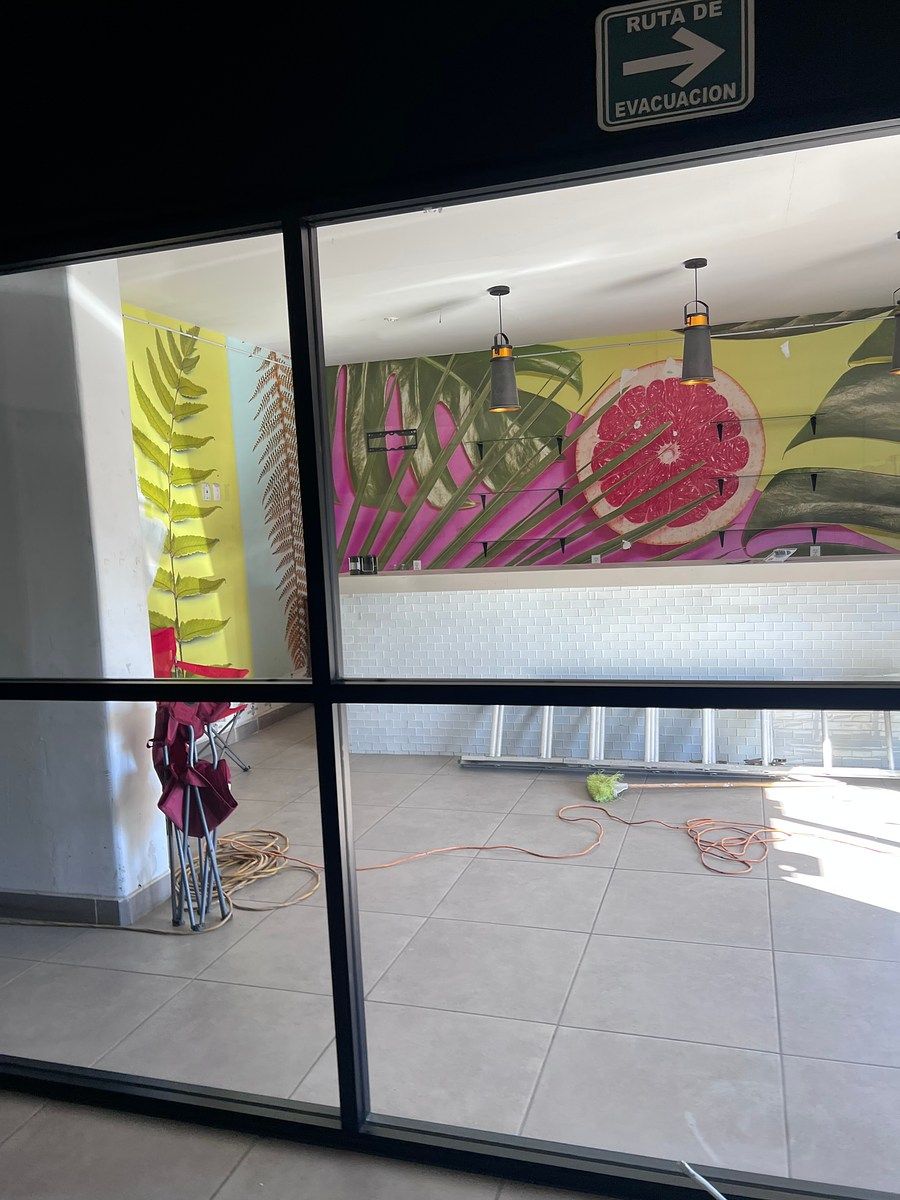 Retail Space in Ampliación Benito Juárez, Playas de Rosarito, photo 11 of 14