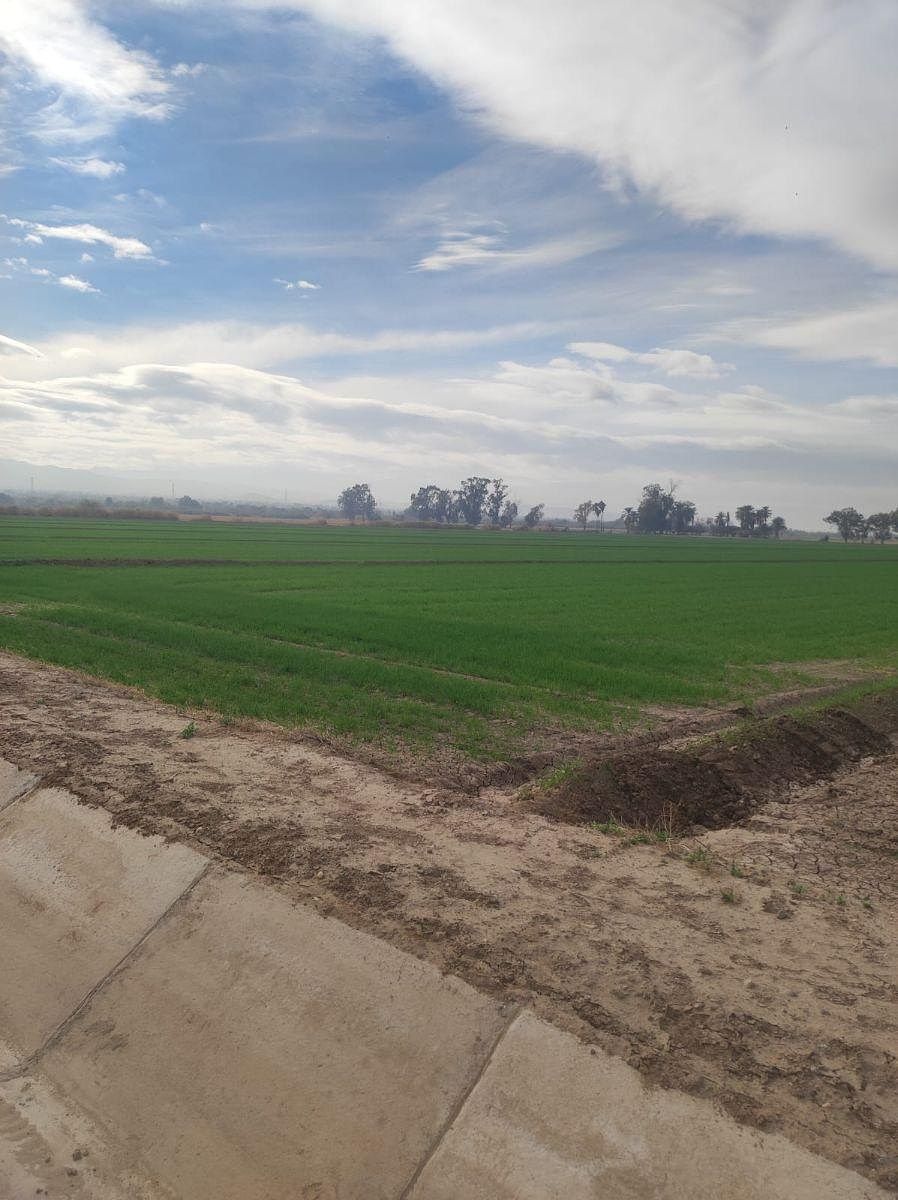 Terreno en Progreso, Mexicali, foto 3 de 4