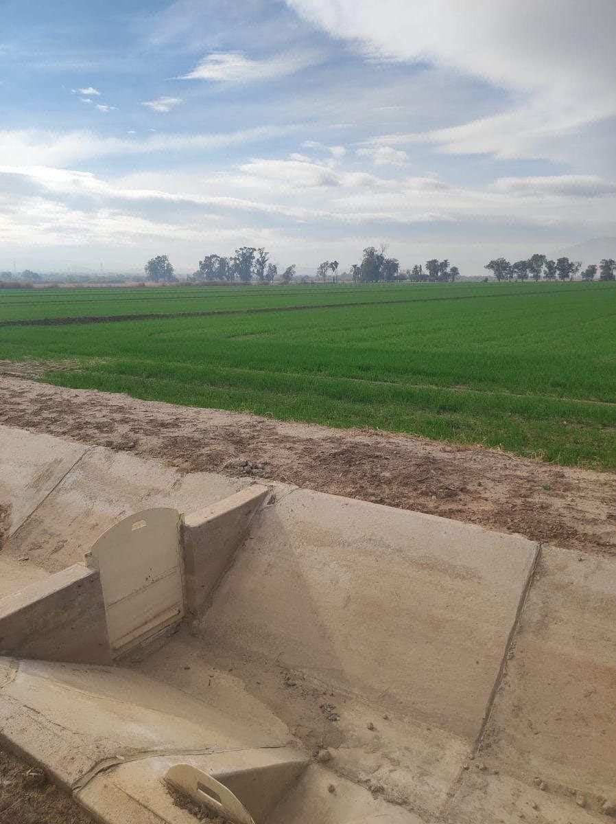 Terreno en Progreso, Mexicali, foto 4 de 4