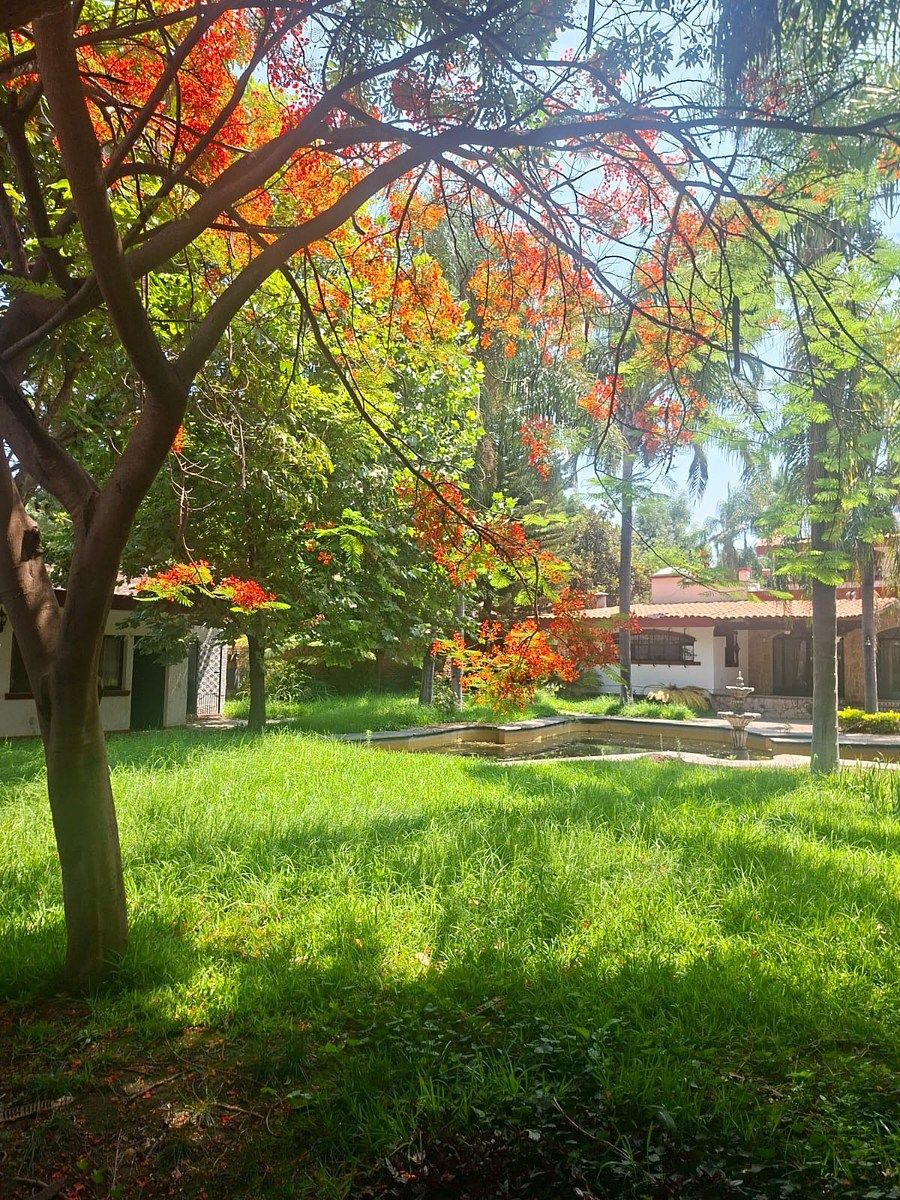 Casa en Las Fuentes, Zapopan, foto 3 de 16