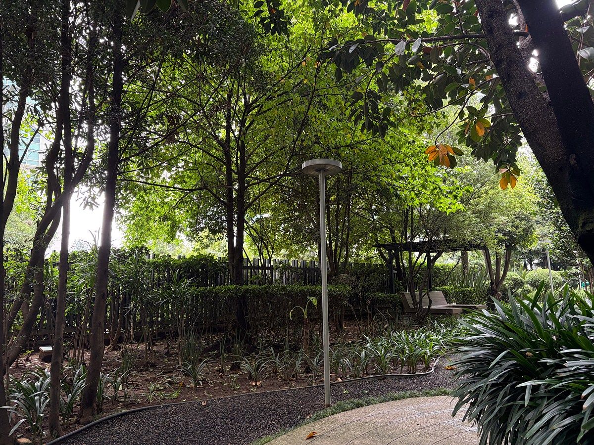 Zona de Lectura exterior, foto 17 de 33