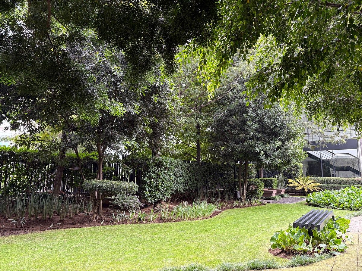 Zona Verde, foto 18 de 33