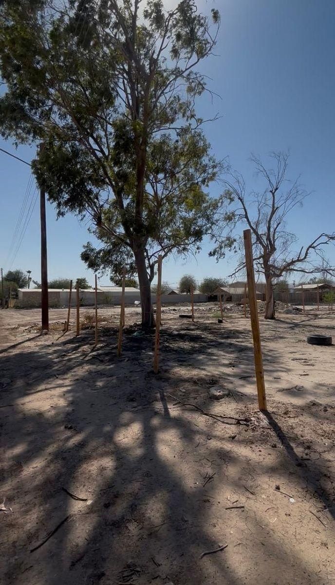 Lote em Granjas Santa Cecilia, Mexicali, foto 3 de 6