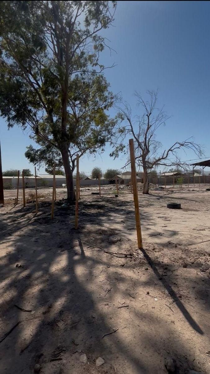 Lote em Granjas Santa Cecilia, Mexicali, foto 5 de 6