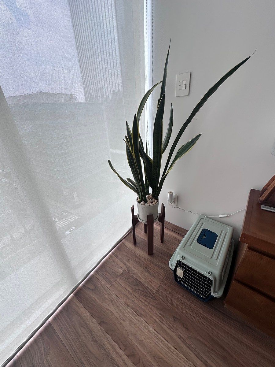 Apartamento em Santa Fe Cuajimalpa, Cuajimalpa de Morelos, foto 20 de 27