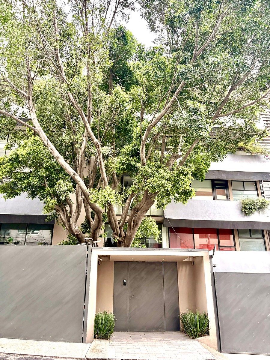 Apartamento em Lomas de Chapultepec IV Sección, Miguel Hidalgo, foto 28 de 28
