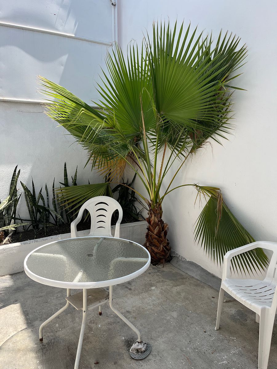 Casa en Ciudad Ideal, San Nicolás de los Garza, foto 23 de 23