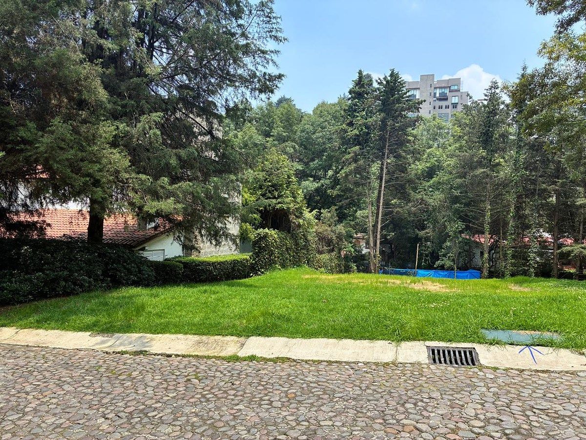 Terreno en Rancho San Francisco Pueblo San Bartolo Ameyalco, Álvaro Obregón, foto 5 de 12