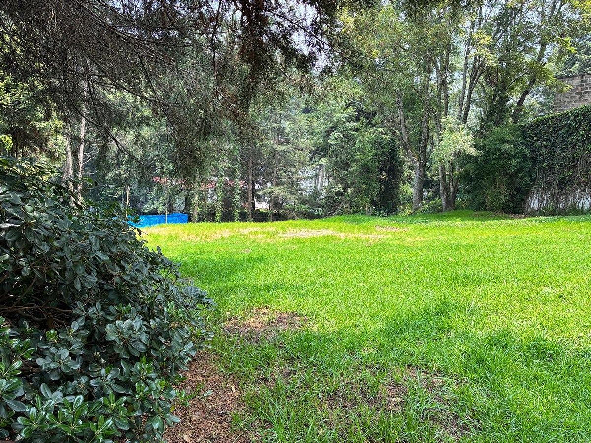 Terreno en Rancho San Francisco Pueblo San Bartolo Ameyalco, Álvaro Obregón, foto 6 de 12