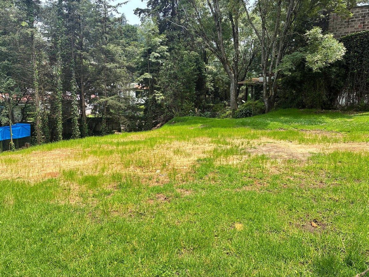 Terreno en Rancho San Francisco Pueblo San Bartolo Ameyalco, Álvaro Obregón, foto 8 de 12
