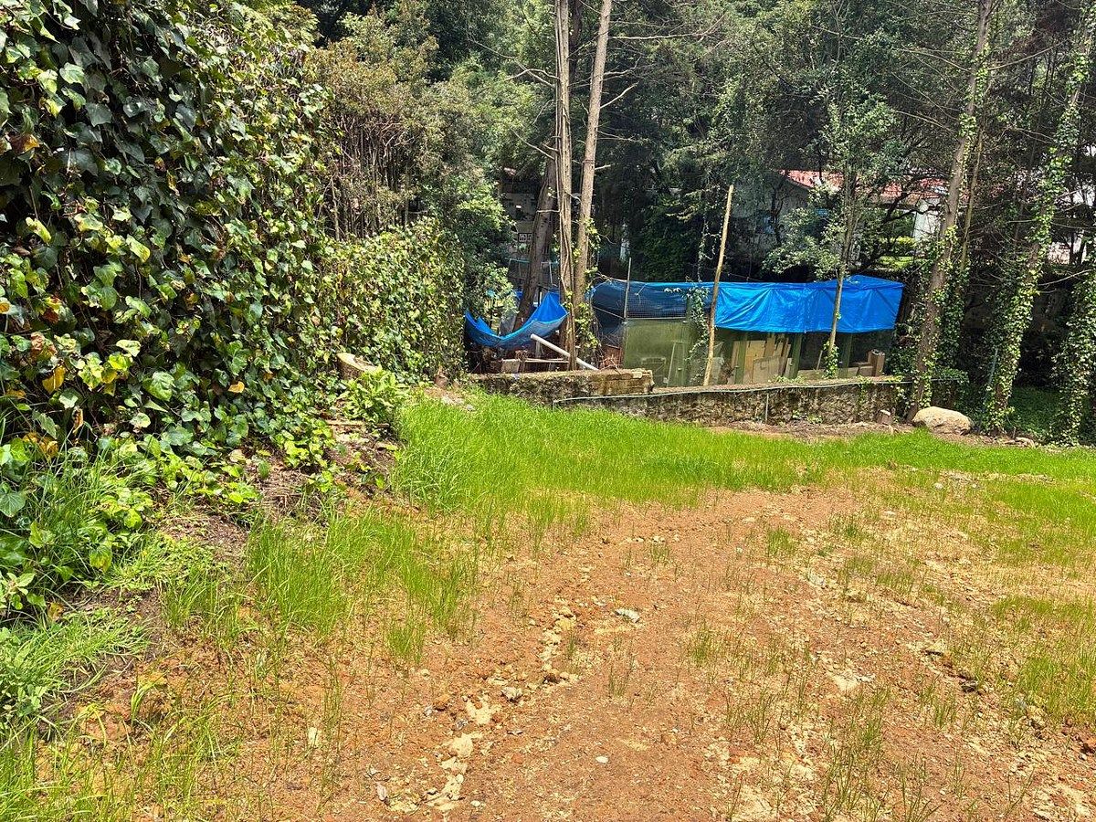 Terreno en Rancho San Francisco Pueblo San Bartolo Ameyalco, Álvaro Obregón, foto 9 de 12