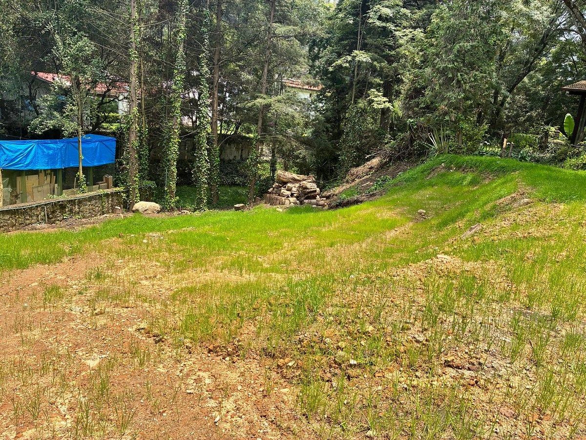 Terreno en Rancho San Francisco Pueblo San Bartolo Ameyalco, Álvaro Obregón, foto 10 de 12