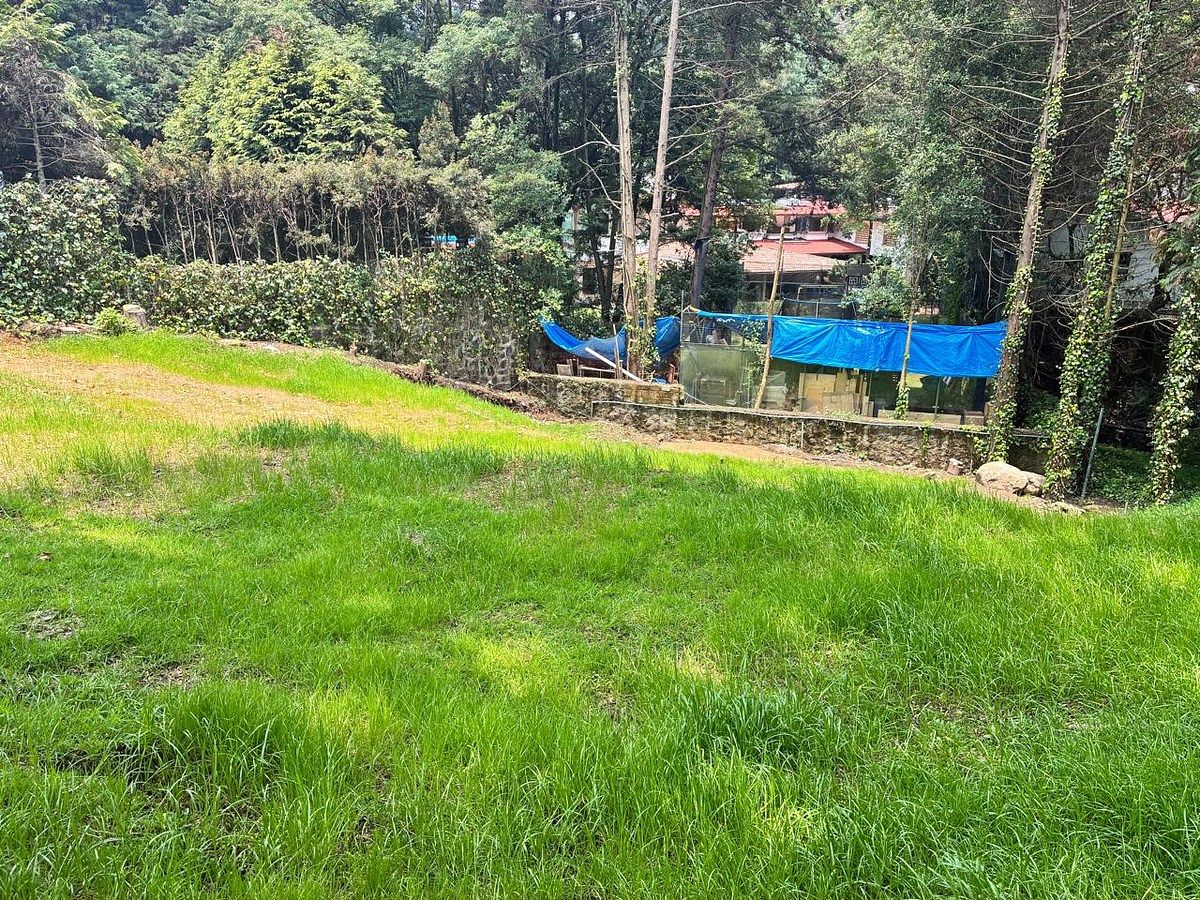 Terreno en Rancho San Francisco Pueblo San Bartolo Ameyalco, Álvaro Obregón, foto 12 de 12