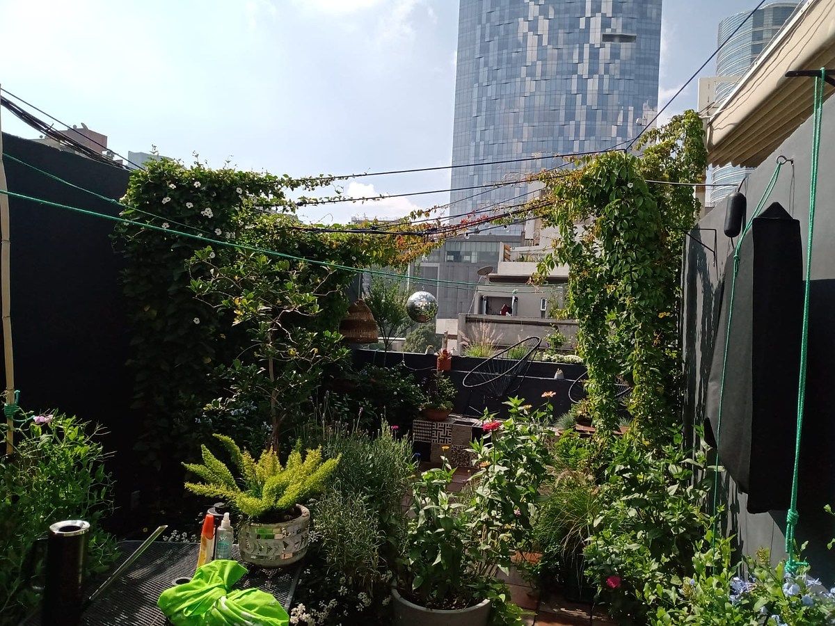 Apartment in Cuauhtémoc, Cuauhtémoc, photo 7 of 8