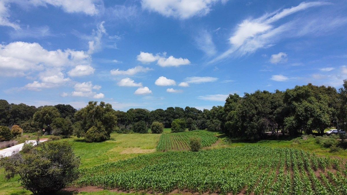 Lote em El Capulín, Soyaniquilpan de Juárez, foto 10 de 15