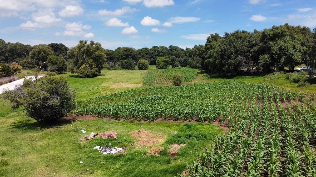 Lote em El Capulín, Soyaniquilpan de Juárez, foto 11 de 15