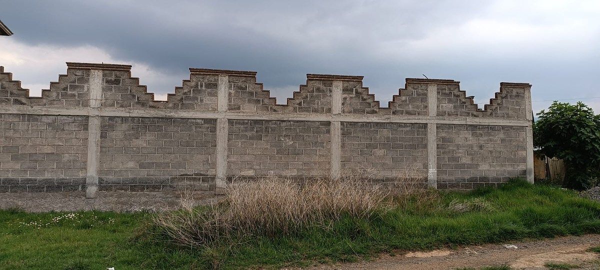 Terreno en Venta en San Pedro, Tlalmanalco, Estado de México - foto 2