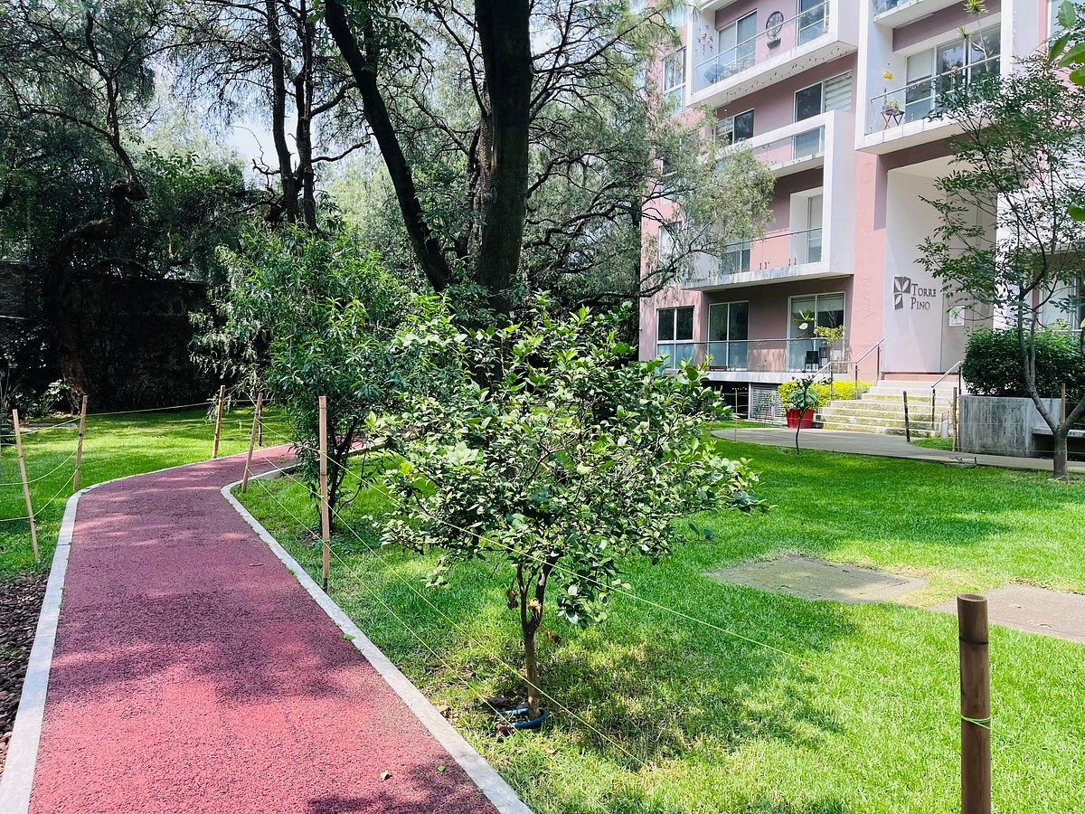 Apartamento em Fuentes de Tepepan, Tlalpan, foto 25 de 29