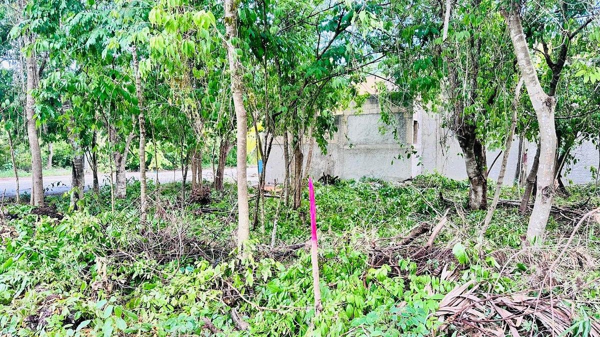 Lot in Tumben Kaa, Tulum, photo 2 of 21