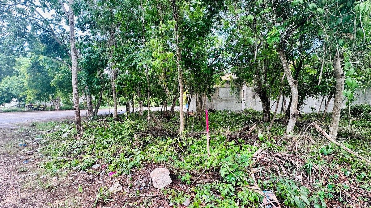 Lot in Tumben Kaa, Tulum, photo 3 of 21