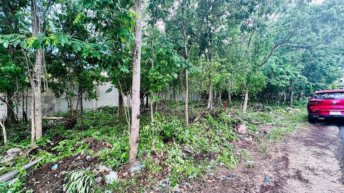 Lot in Tumben Kaa, Tulum, photo 4 of 21