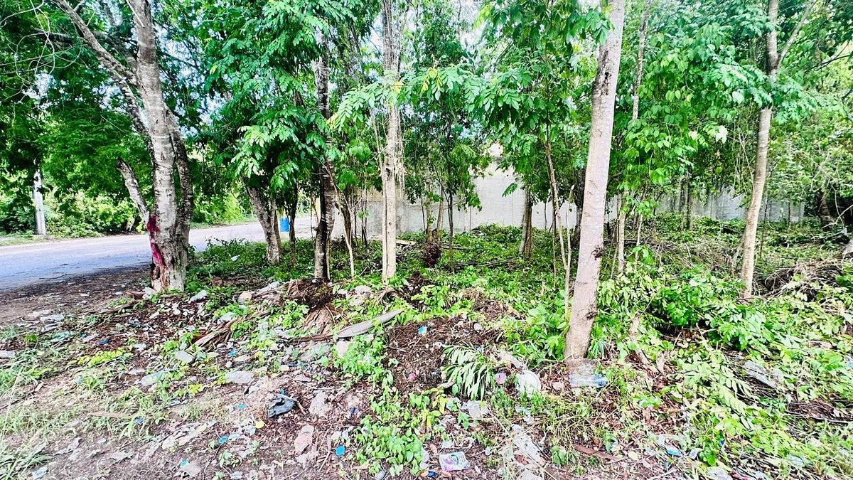 Lot in Tumben Kaa, Tulum, photo 5 of 21