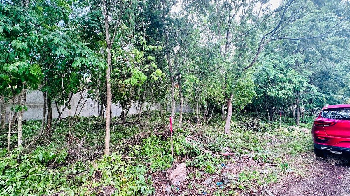 Lot in Tumben Kaa, Tulum, photo 6 of 21