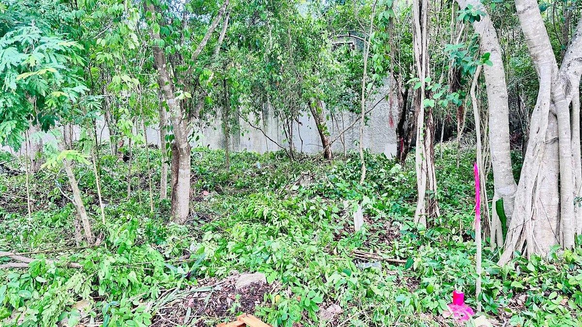 Lot in Tumben Kaa, Tulum, photo 7 of 21