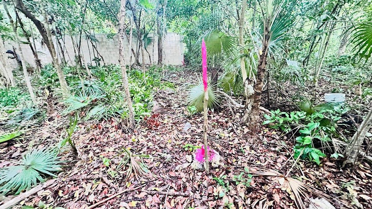 Terreno en Tumben Kaa, Tulum, foto 11 de 21