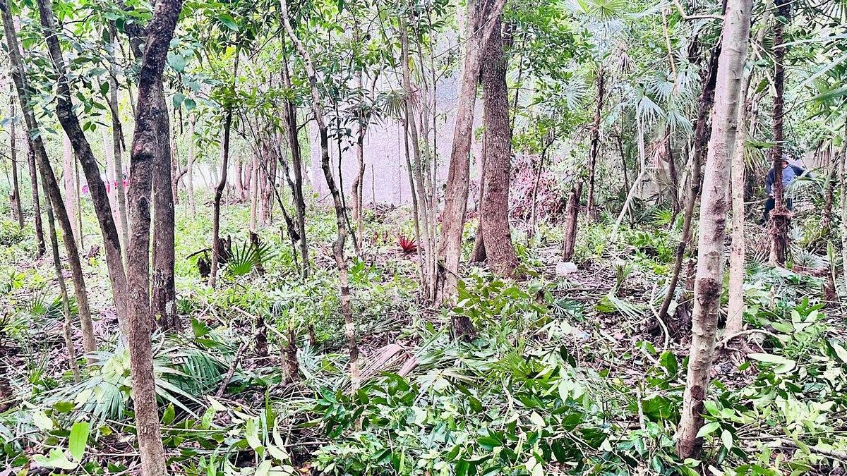 Terreno en Tumben Kaa, Tulum, foto 13 de 21