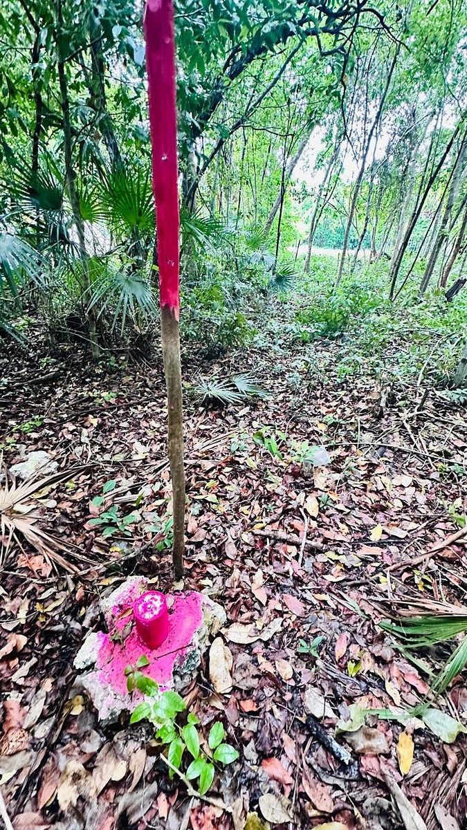 Residential Land for Sale - Tumben kaa, Tulum, photo 1 of 21