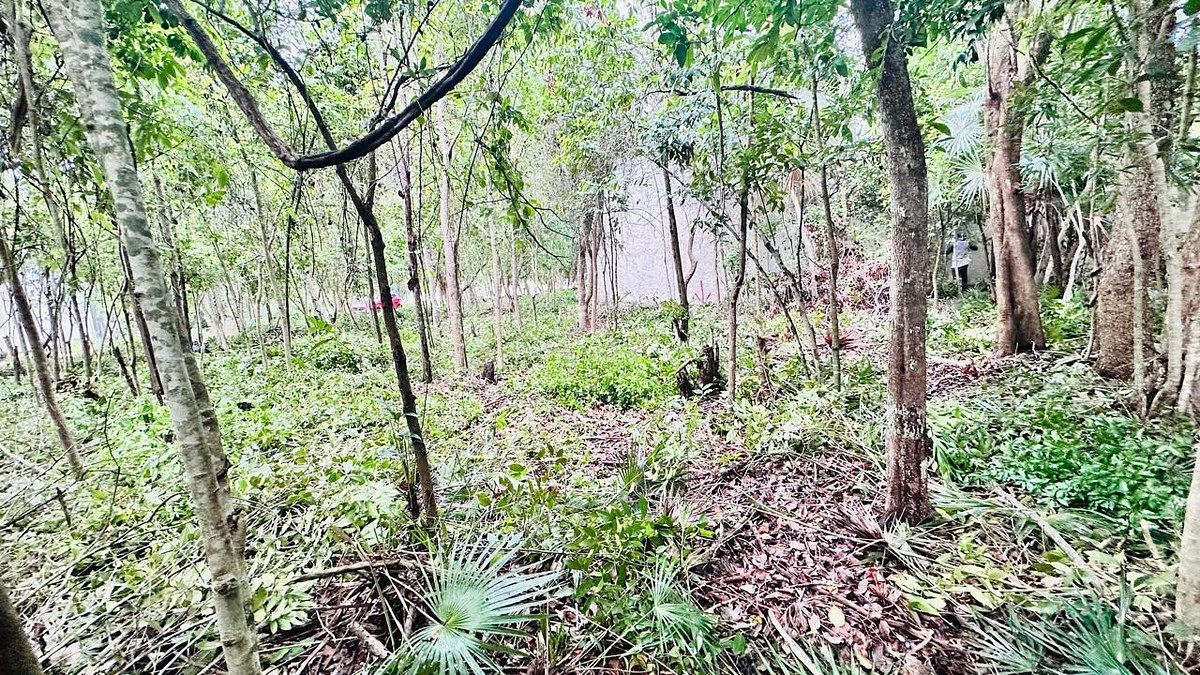 Terreno en Tumben Kaa, Tulum, foto 14 de 21