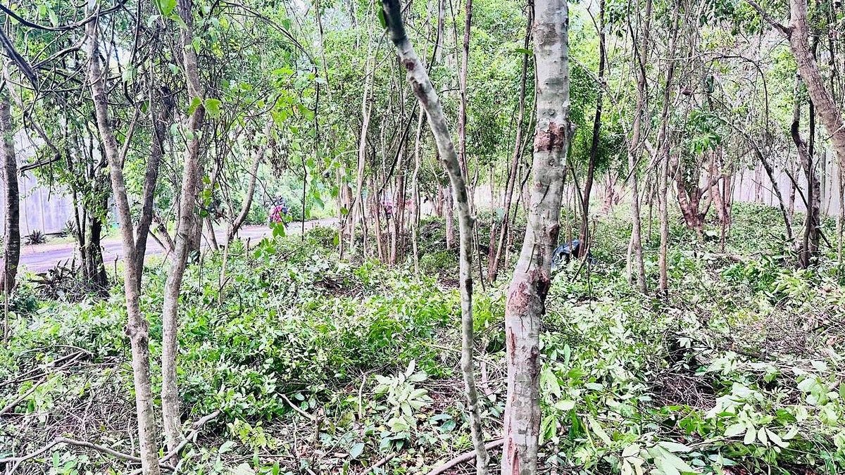Terreno en Tumben Kaa, Tulum, foto 15 de 21