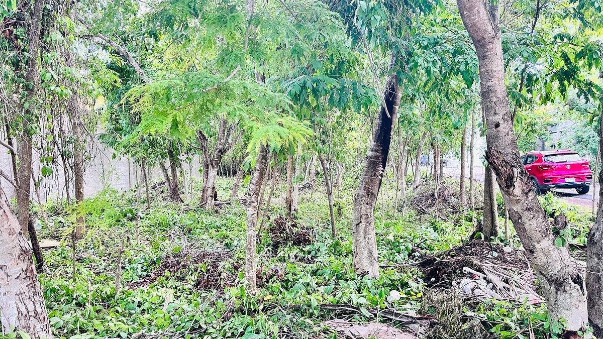 Terreno en Tumben Kaa, Tulum, foto 16 de 21