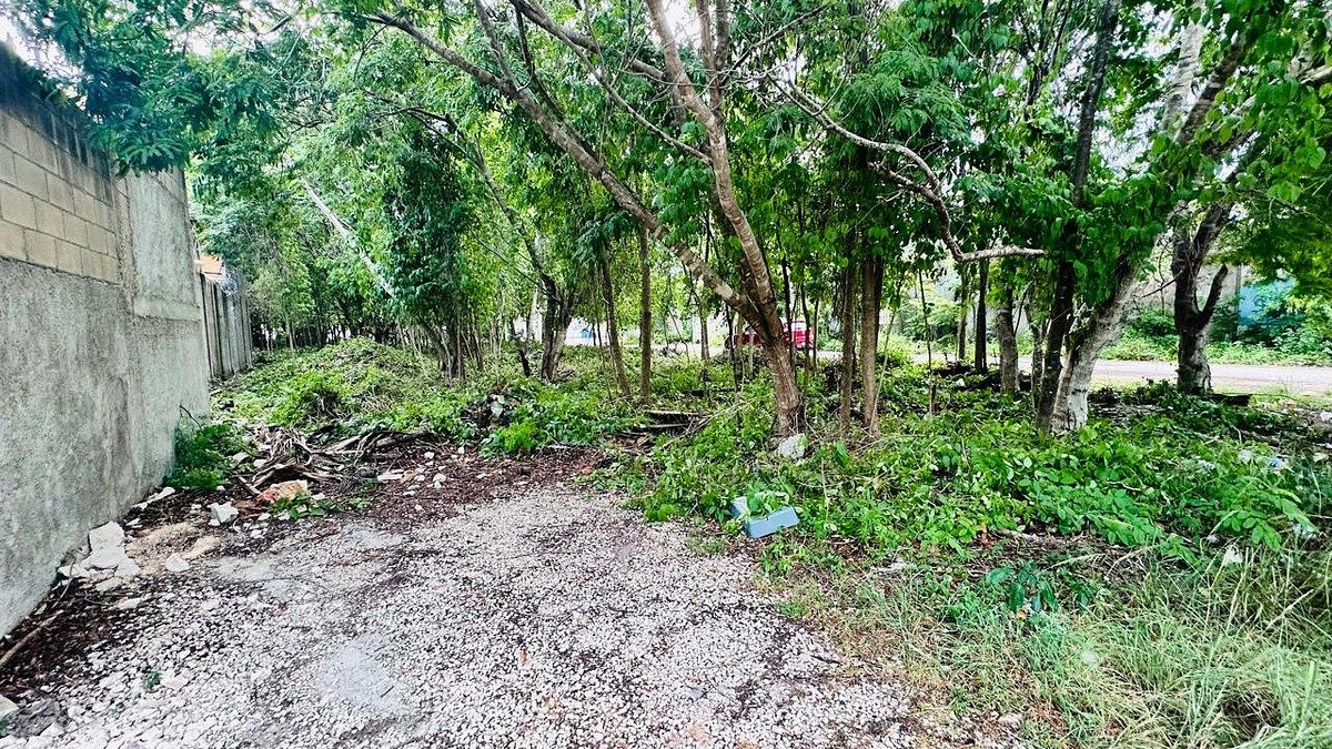 Terreno en Tumben Kaa, Tulum, foto 17 de 21