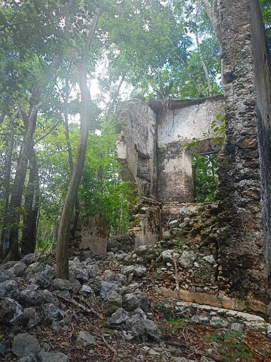 Terreno en Dzitnup, Valladolid, foto 6 de 11