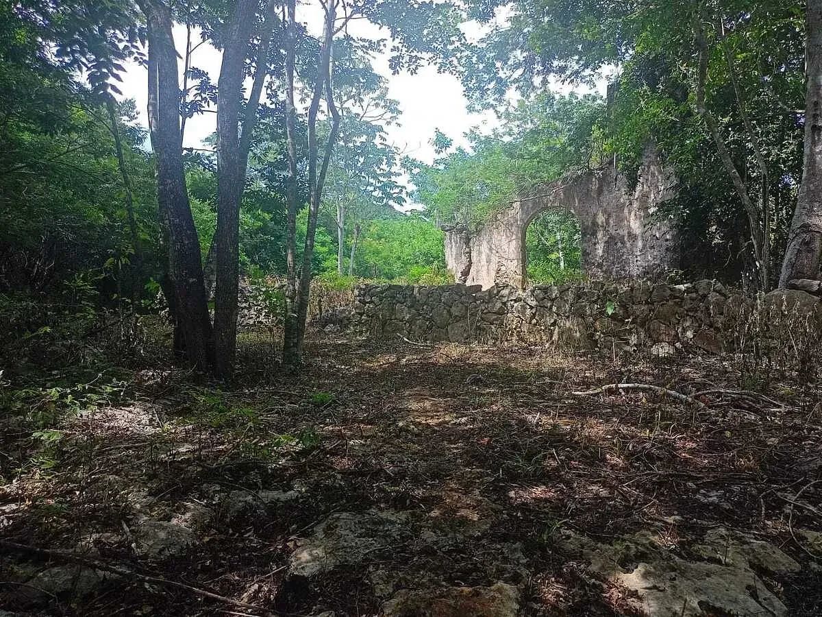 Terreno en Dzitnup, Valladolid, foto 10 de 11