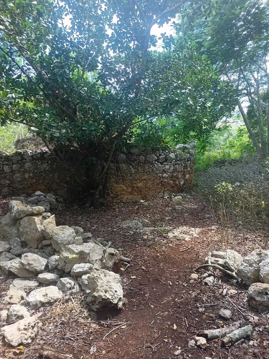 Terreno en Dzitnup, Valladolid, foto 11 de 11