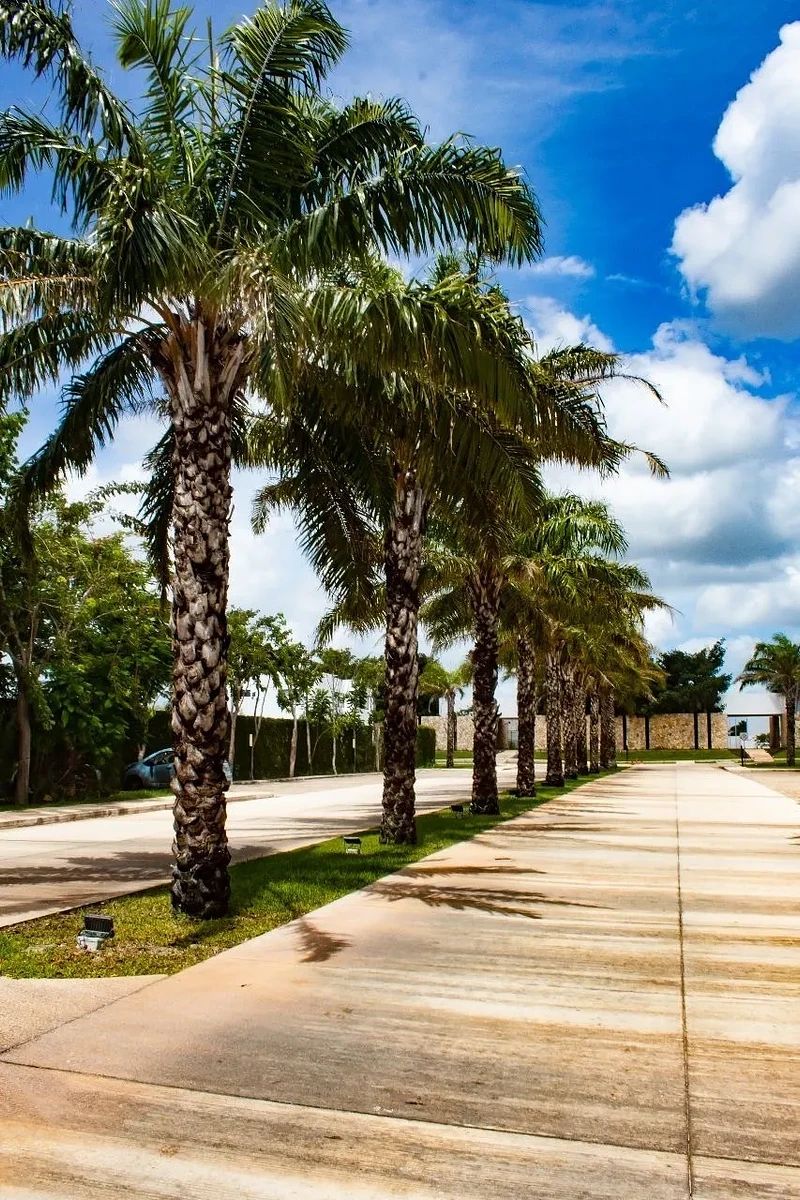 Lote em Zentura Residencial, Mérida, foto 3 de 8
