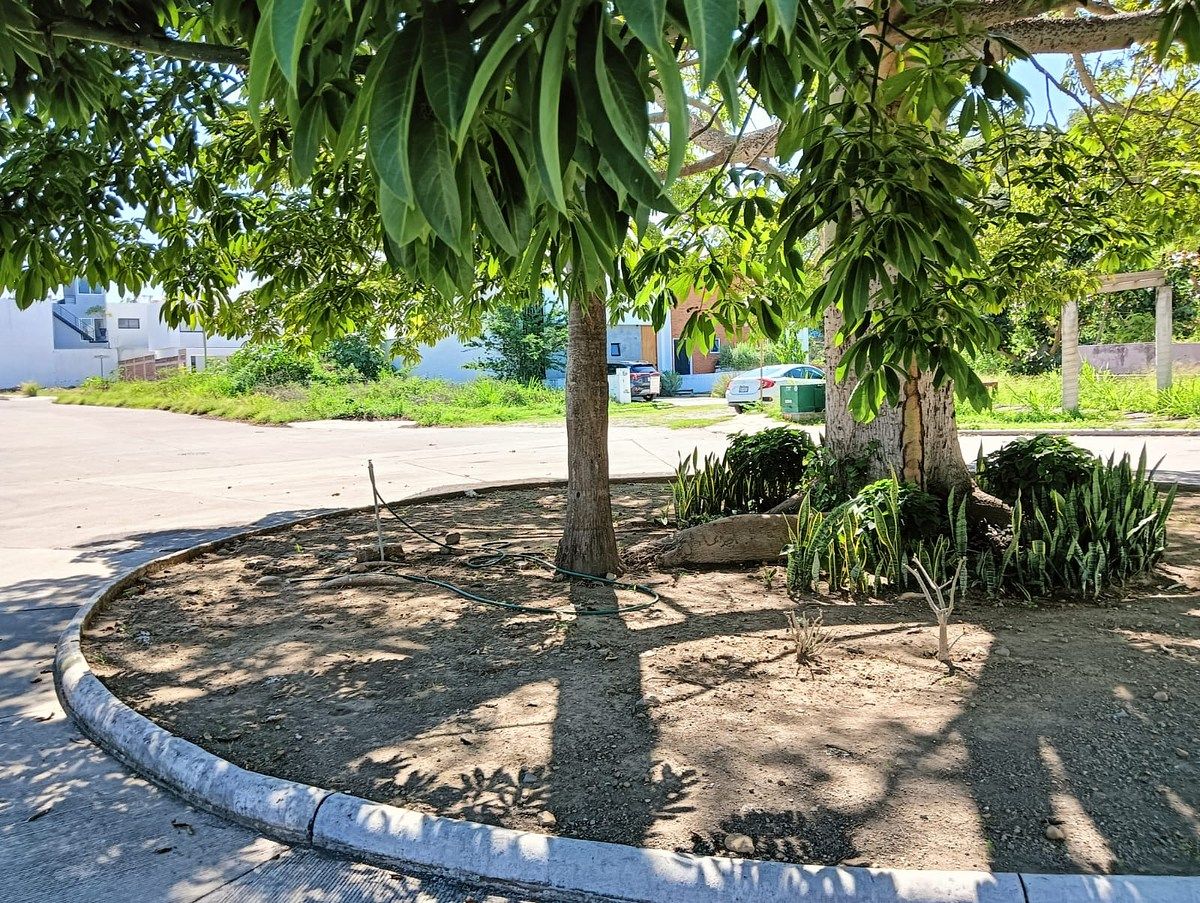 Lote em El Chanal, Colima, foto 4 de 9