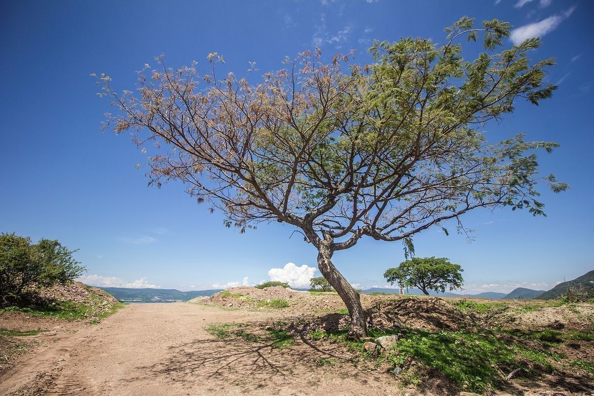 Lote em San Juan Cosala, Jocotepec, foto 21 de 27